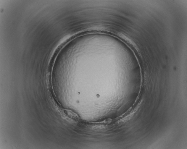 X0000067871029200604271730