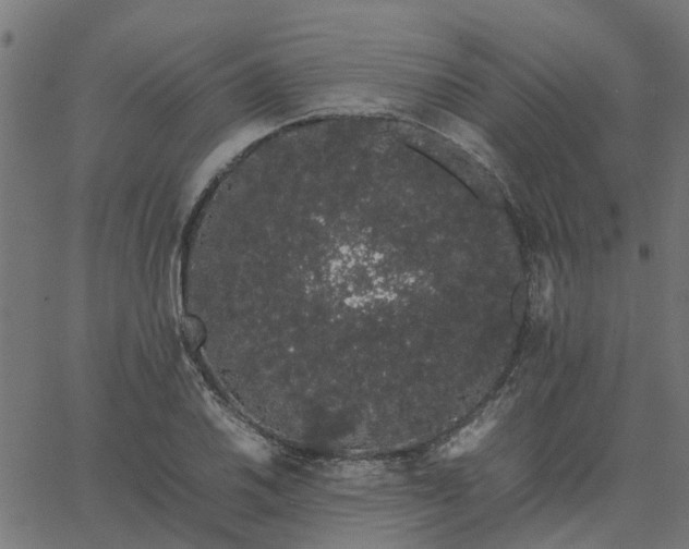 X0000067871030200604271730