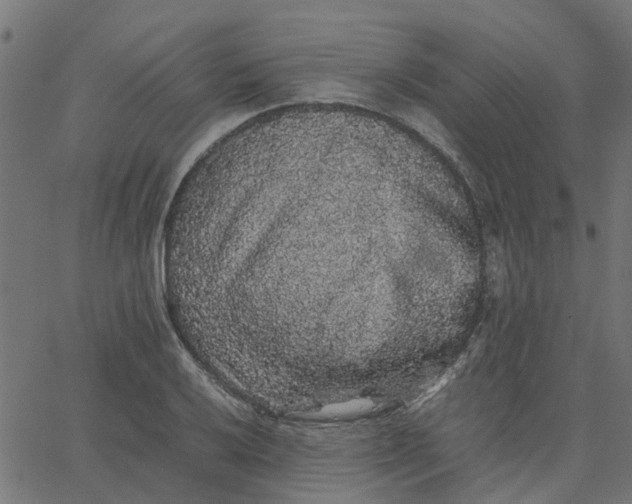 X0000067871032200604271730