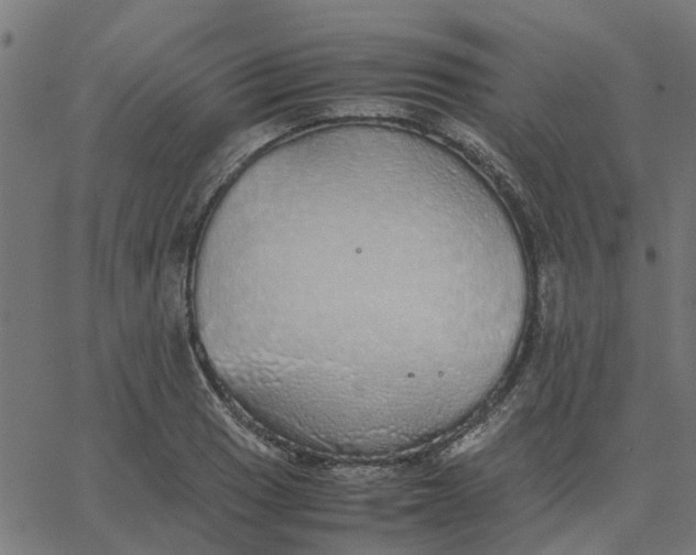 X0000067871033200604271730