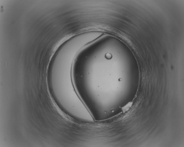 X0000067871034200604271730