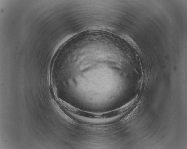 X0000067871036200604271730