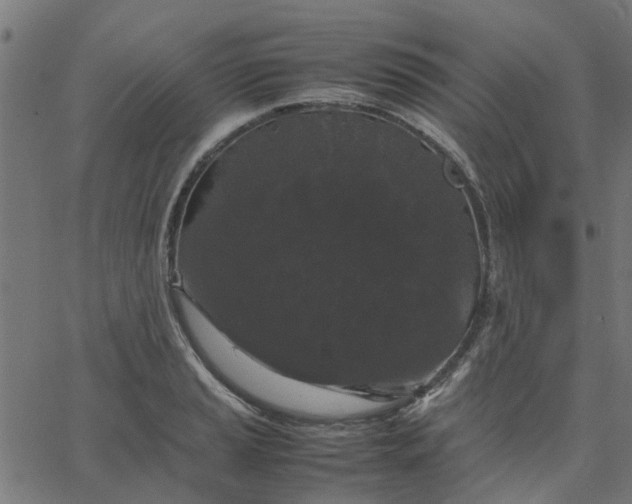 X0000067871037200604271730