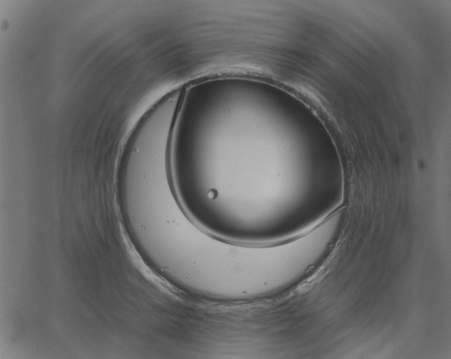 X0000067871038200604271730