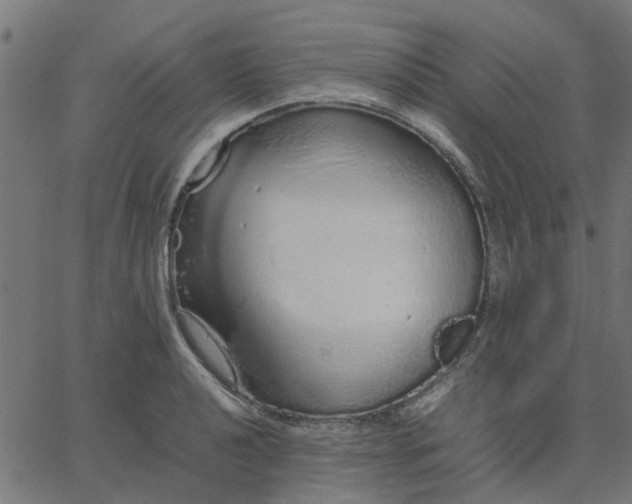 X0000067871040200604271731