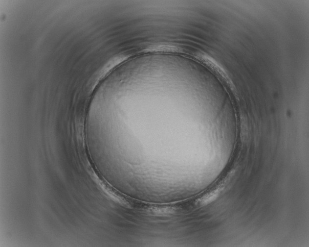 X0000067871041200604271731