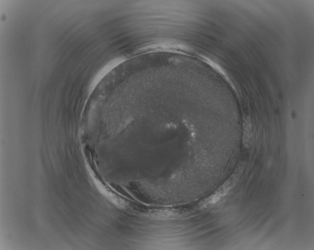 X0000067871042200604271731