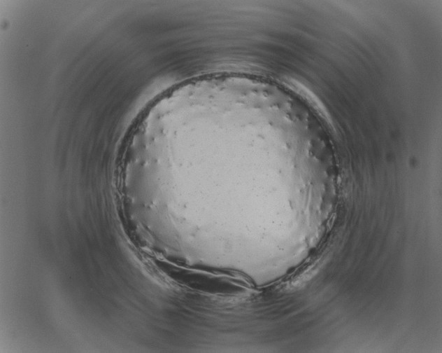 X0000067871043200604271731