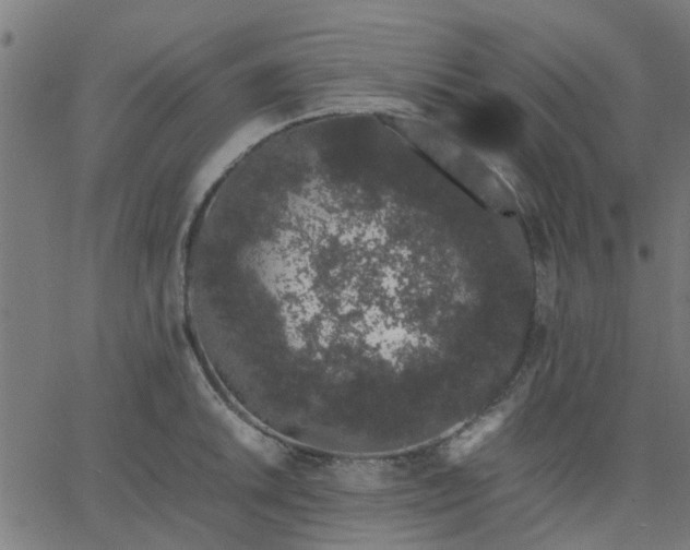 X0000067871046200604271731