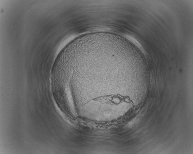 X0000067871047200604271731