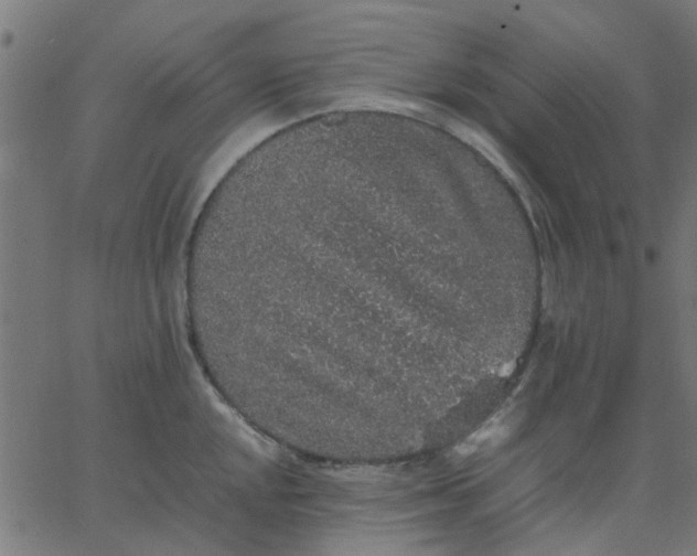 X0000067871048200604271731