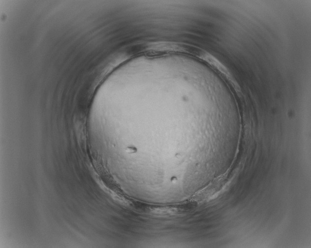 X0000067871049200604271731