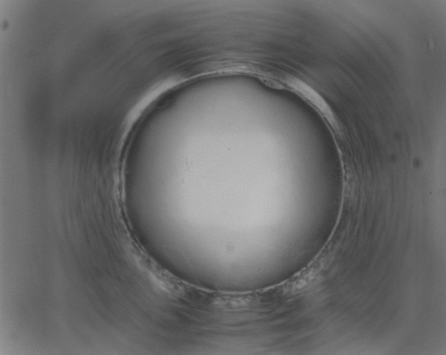 X0000067871051200604271731