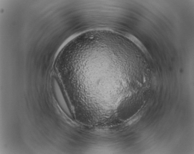 X0000067871052200604271731