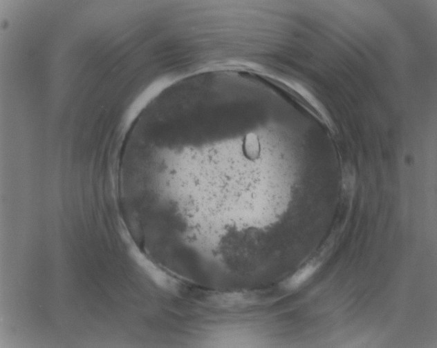 X0000067871054200604271731