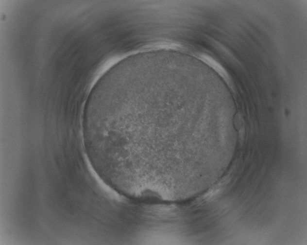 X0000067871055200604271731