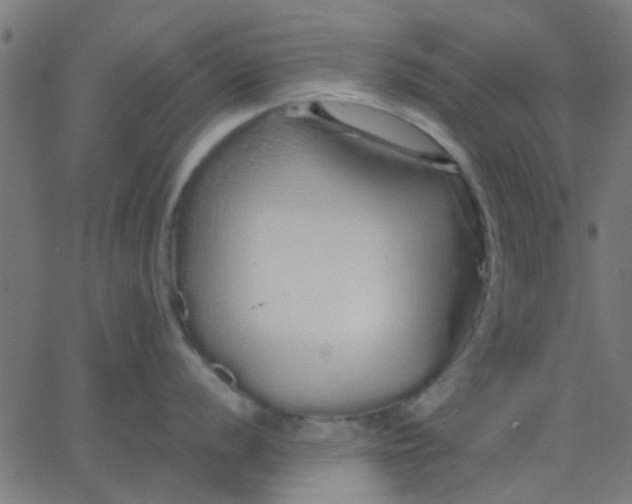 X0000067871056200604271731