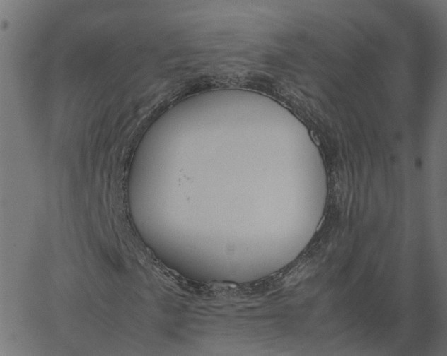 X0000067871057200604271730