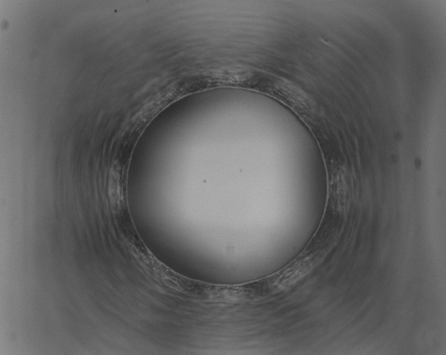 X0000067871058200604271730