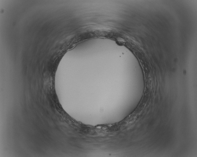 X0000067871061200604271730