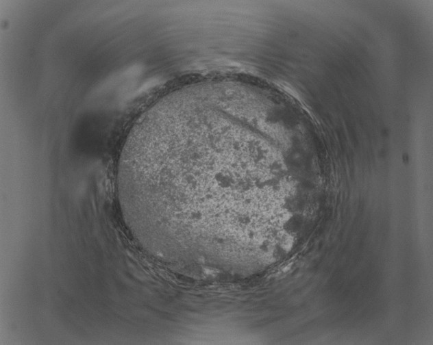 X0000067871063200604271730