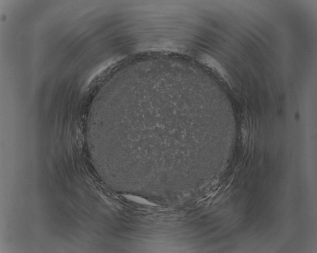 X0000067871064200604271730