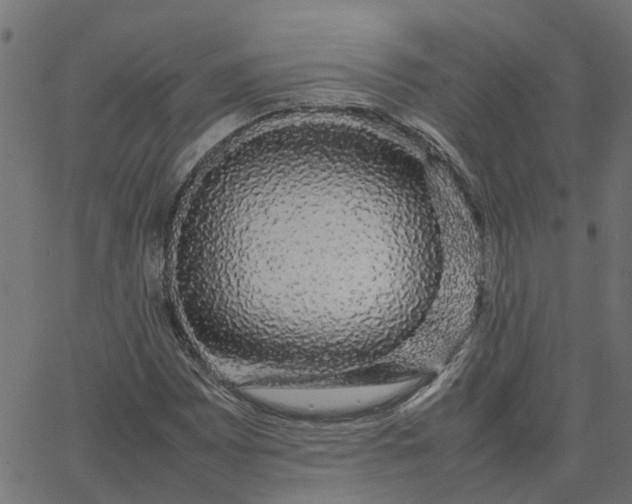 X0000067871065200604271730