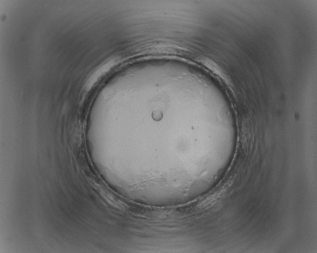 X0000067871067200604271730