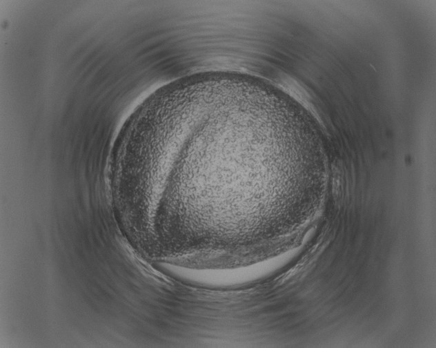 X0000067871068200604271730