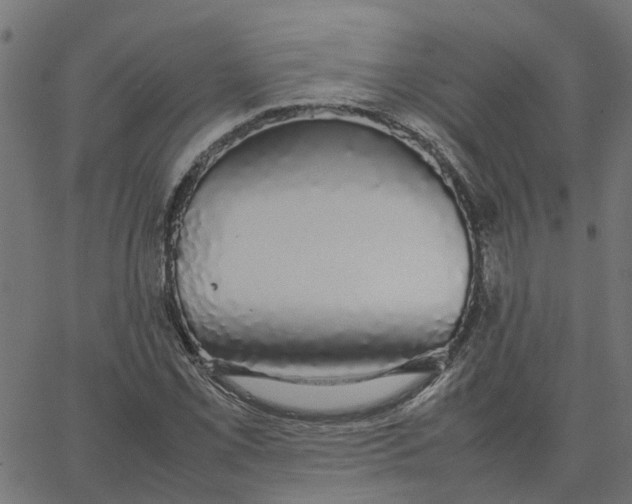 X0000067871069200604271730