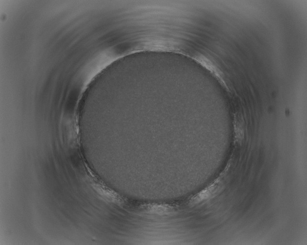 X0000067871070200604271730