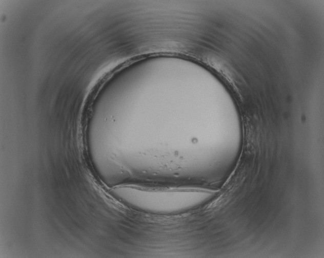 X0000067871072200604271730