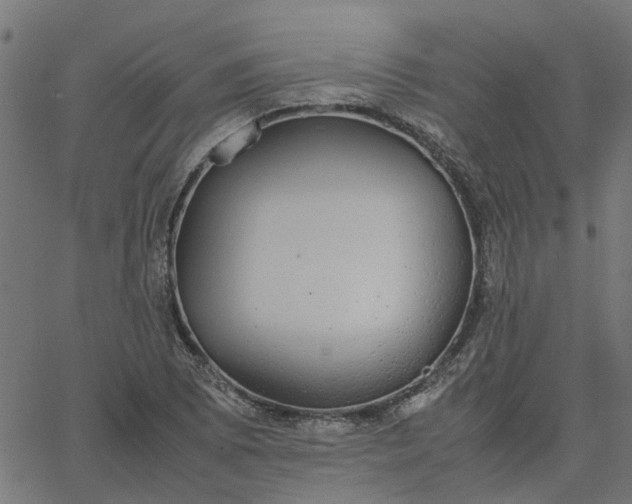 X0000067871073200604271730