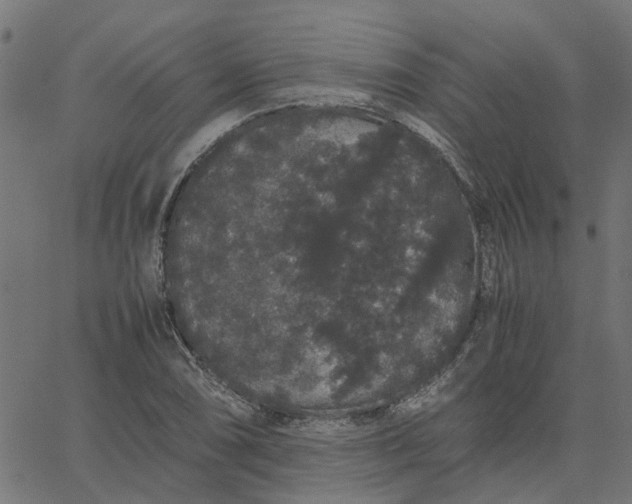 X0000067871074200604271730