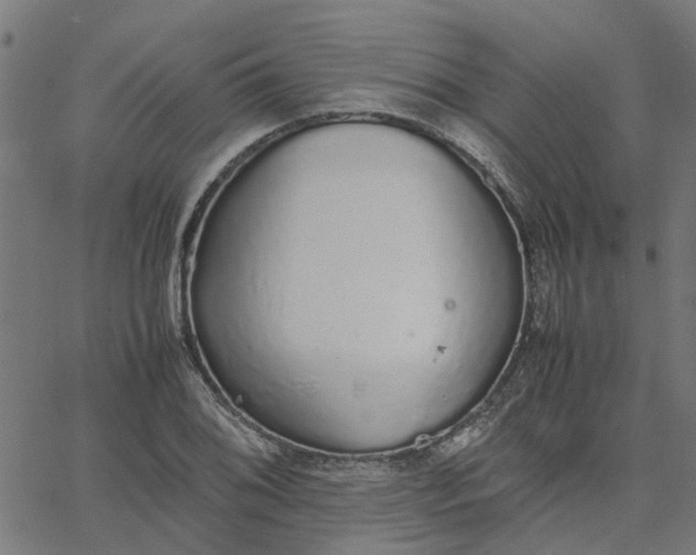 X0000067871076200604271730