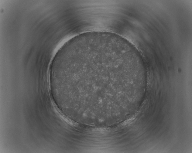 X0000067871078200604271730