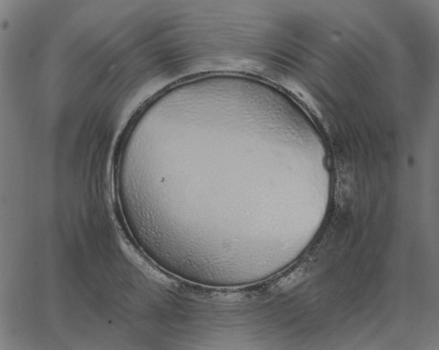 X0000067871080200604271730