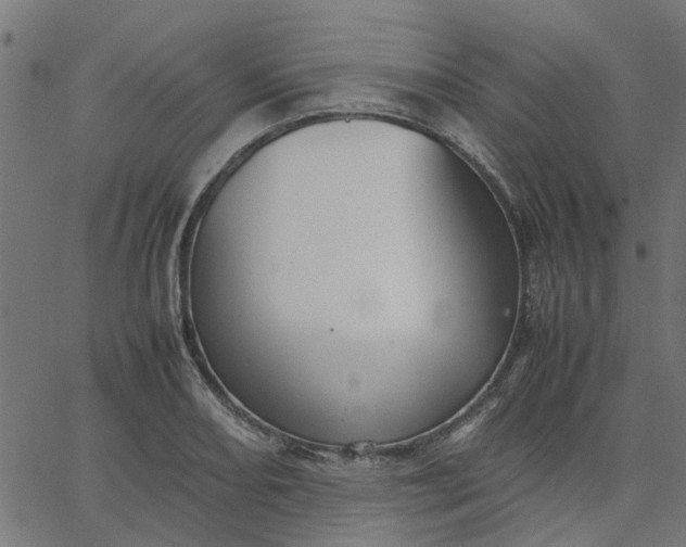 X0000067871082200604271729