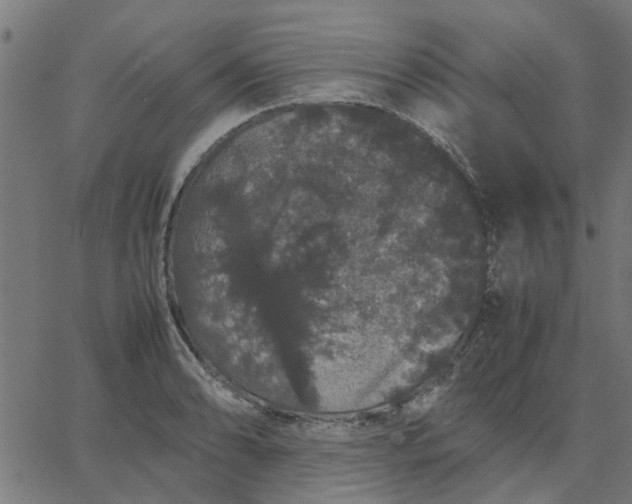 X0000067871086200604271729