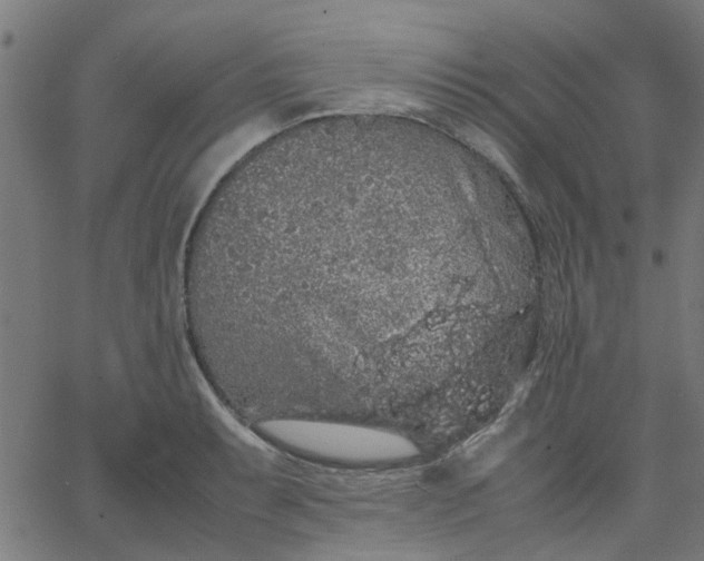 X0000067871087200604271729