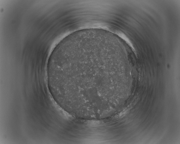 X0000067871088200604271729