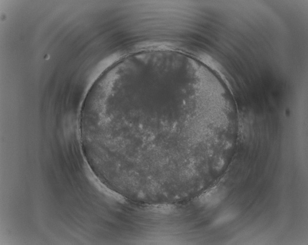 X0000067871090200604271729