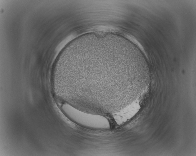 X0000067871091200604271729