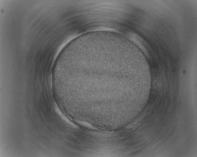 X0000067871092200604271729