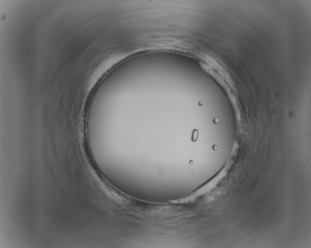 X0000067871093200604271729