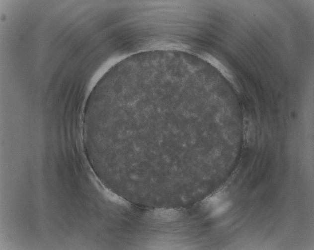 X0000067871094200604271729