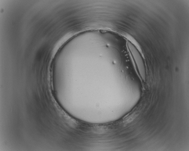 X0000067871096200604271729