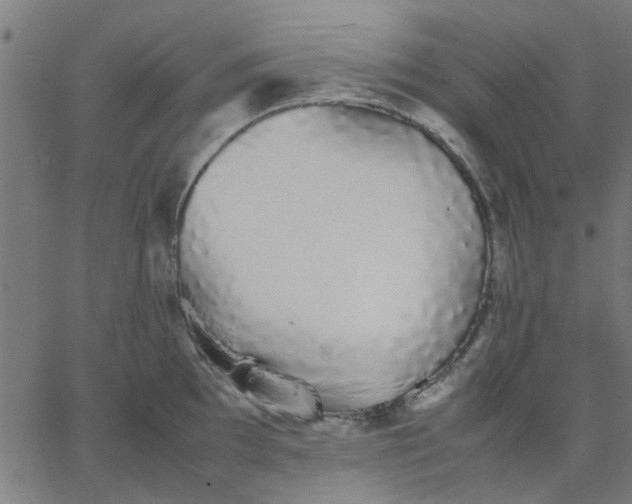 X0000067871097200604271729