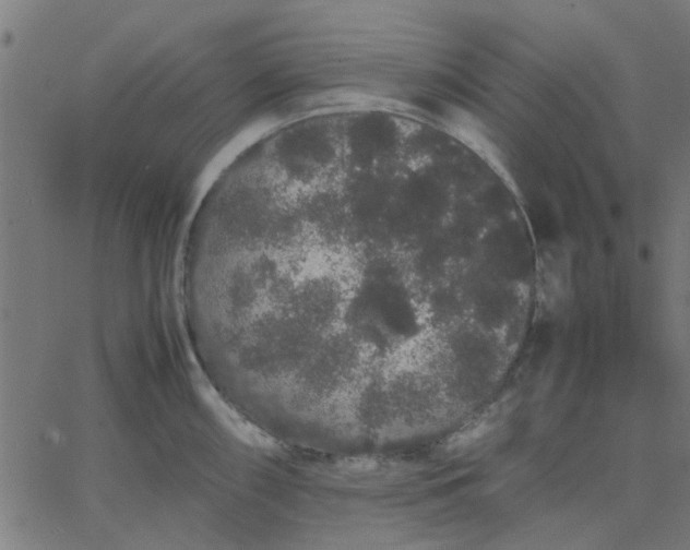 X0000067871098200604271729