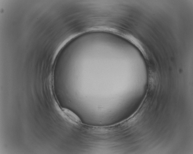 X0000067871100200604271729